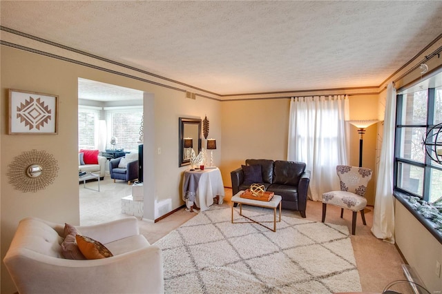 living room with a textured ceiling, light colored carpet, and crown molding