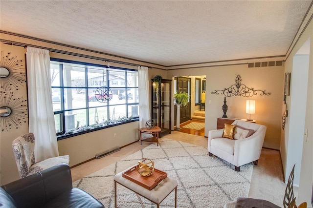 living room with crown molding, carpet floors, and a textured ceiling