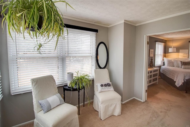 sitting room with crown molding, carpet, a healthy amount of sunlight, and a textured ceiling