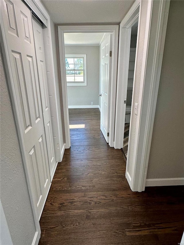 hallway featuring dark wood-type flooring