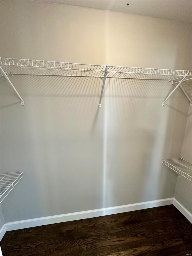 spacious closet featuring wood-type flooring