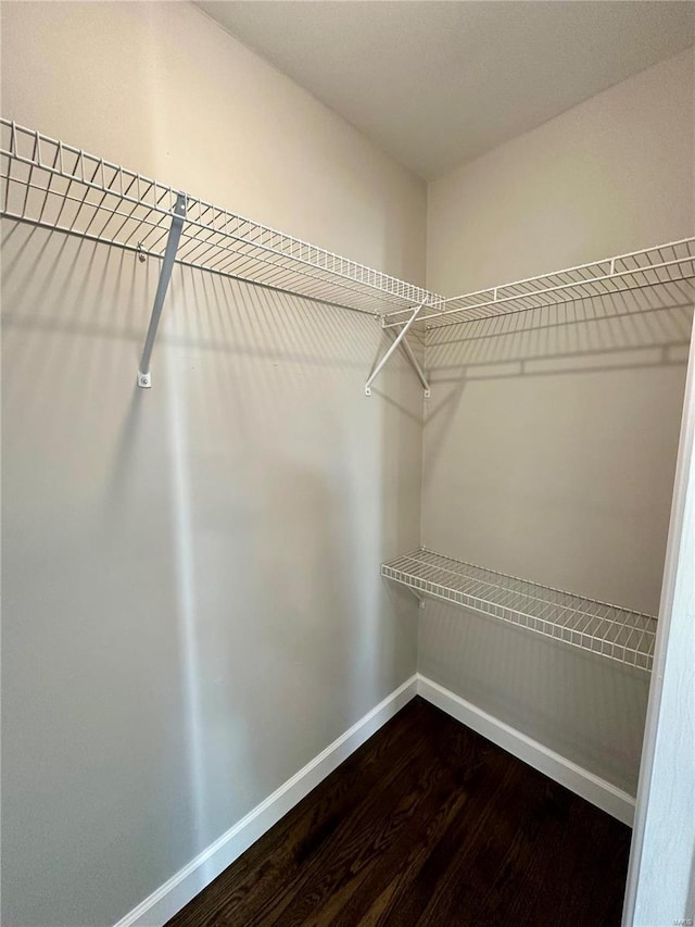 spacious closet featuring hardwood / wood-style floors