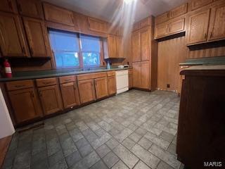 kitchen with wooden walls and dishwasher