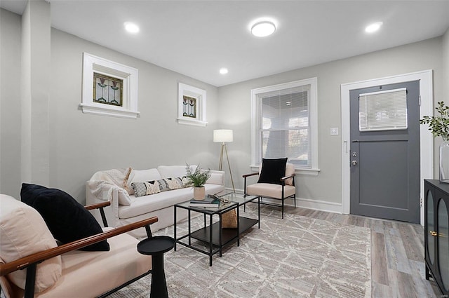 living room featuring light hardwood / wood-style flooring