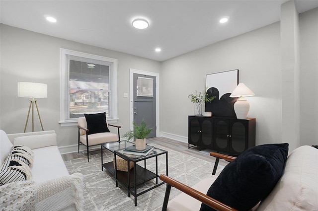 living room with light wood-type flooring