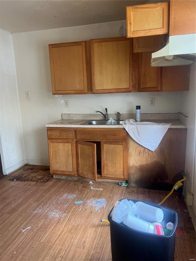 kitchen with sink and light hardwood / wood-style flooring