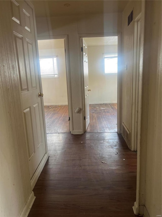 hallway featuring dark wood-type flooring