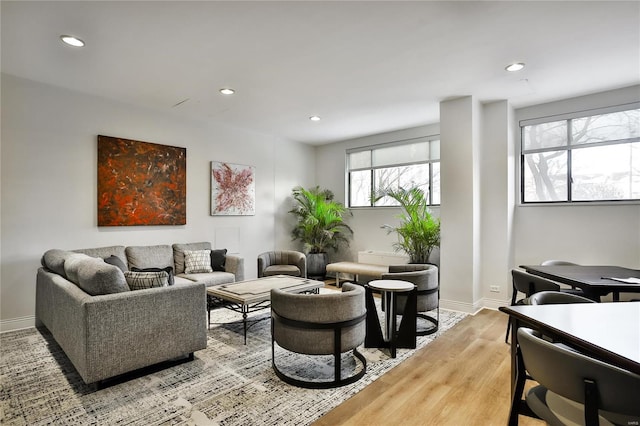 living room featuring light hardwood / wood-style flooring