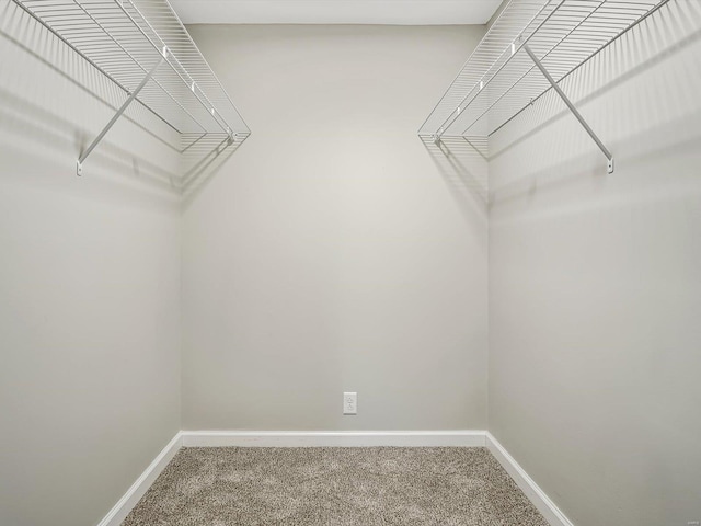 walk in closet featuring carpet