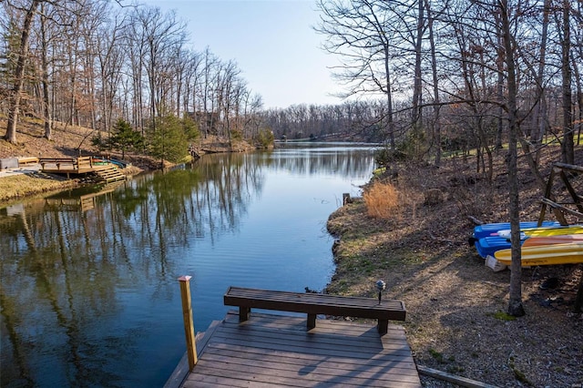 dock area with a water view