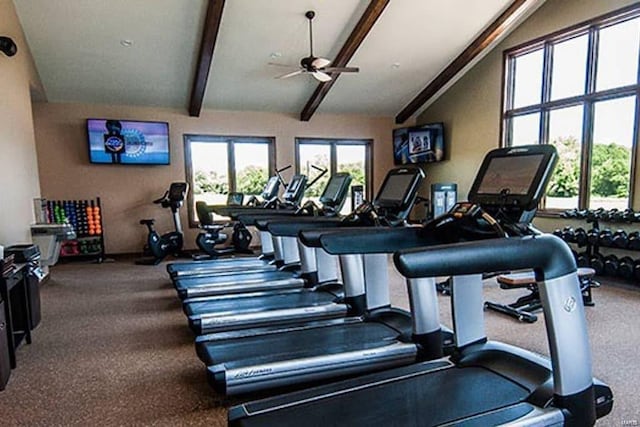 exercise room with carpet, ceiling fan, and lofted ceiling