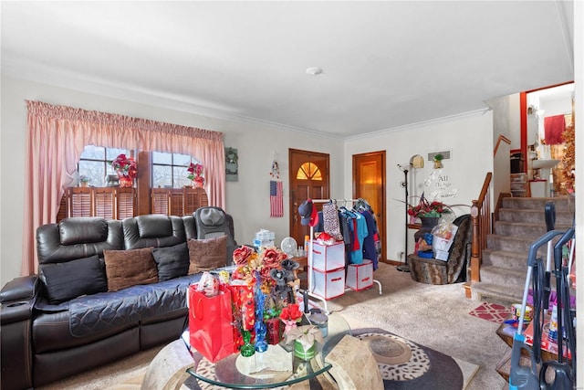 carpeted living room with crown molding