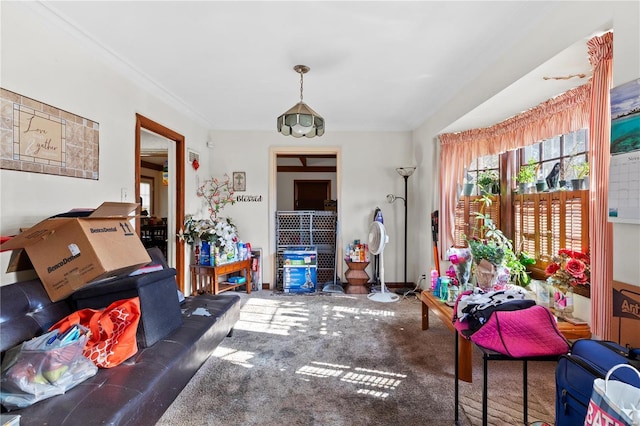 living room featuring crown molding and dark carpet