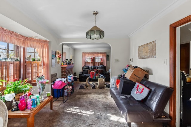 interior space featuring carpet flooring and crown molding