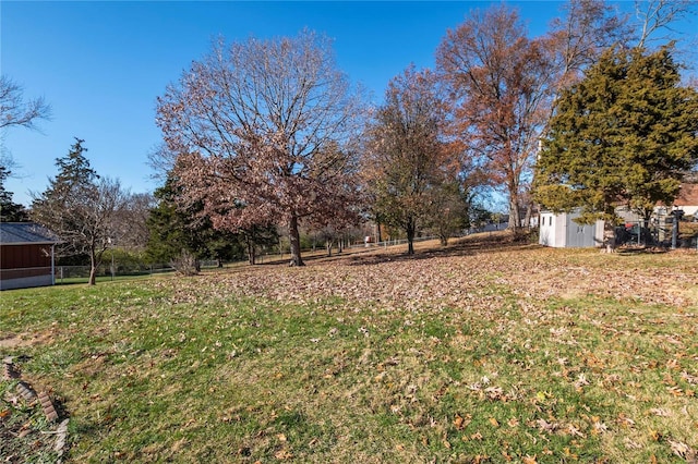 view of yard featuring a storage unit