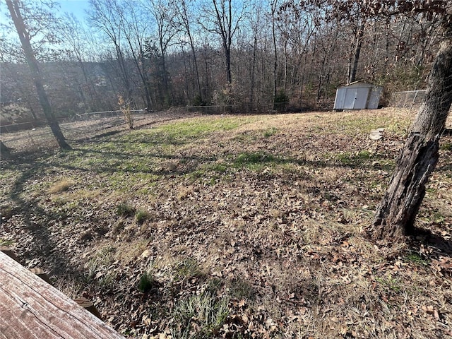 view of yard with a storage shed