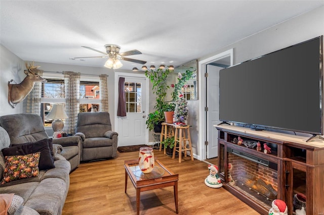 living room with ceiling fan and light wood-type flooring