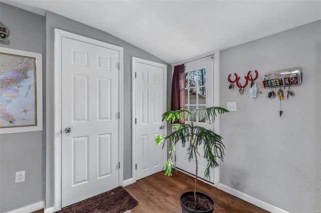 entryway featuring vaulted ceiling and hardwood / wood-style flooring