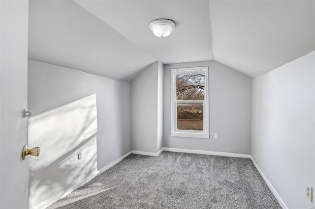 bonus room with carpet and lofted ceiling