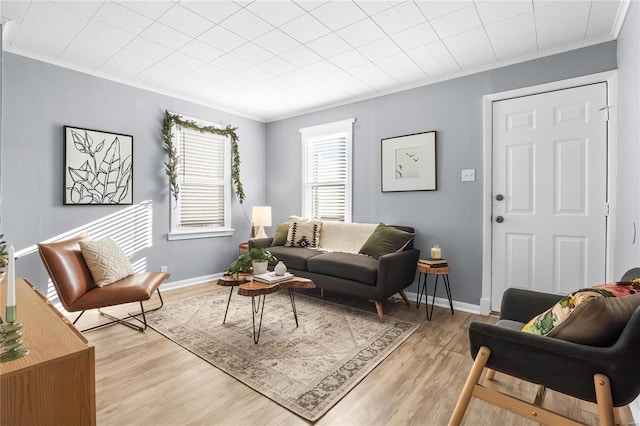 living room featuring light hardwood / wood-style floors and crown molding