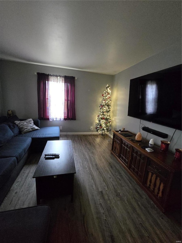 living room with dark wood-type flooring