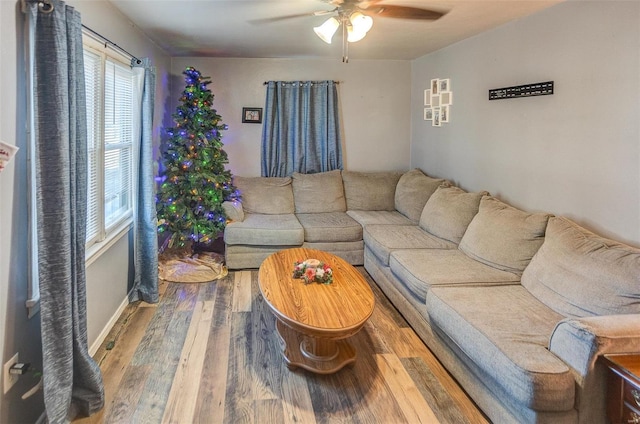 living room featuring hardwood / wood-style flooring and ceiling fan