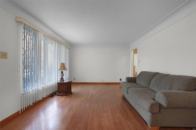 living room featuring ornamental molding and hardwood / wood-style flooring