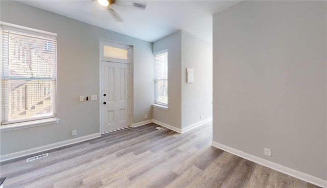 foyer with light hardwood / wood-style flooring and plenty of natural light