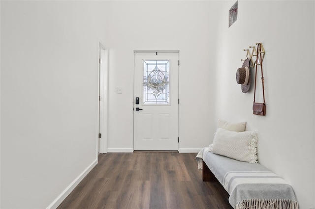 foyer entrance featuring dark hardwood / wood-style floors