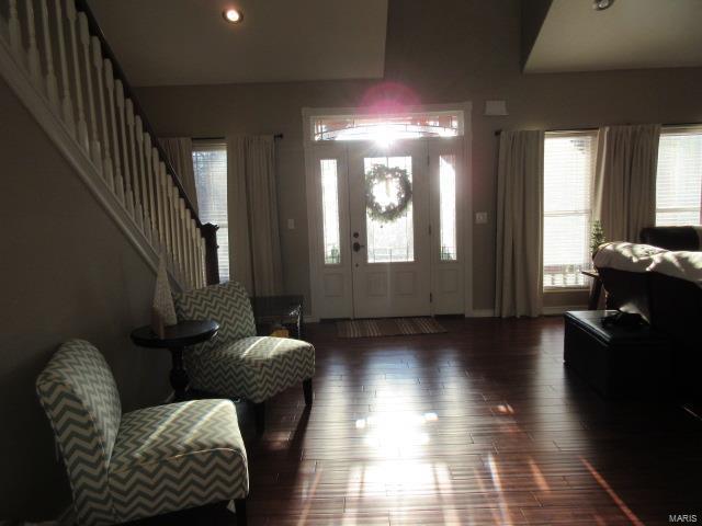 foyer featuring dark hardwood / wood-style floors and plenty of natural light