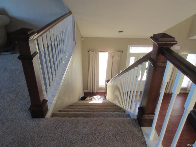 stairway with carpet