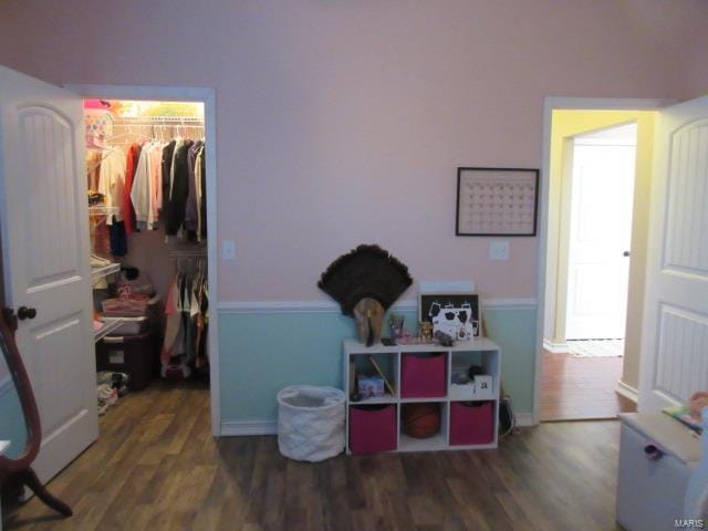 bedroom with a walk in closet, a closet, and dark hardwood / wood-style floors