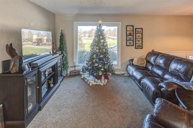 living room featuring carpet and a textured ceiling