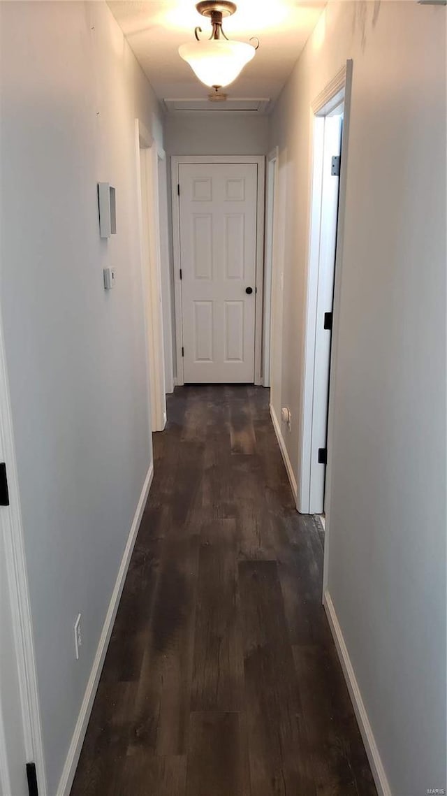 corridor with dark hardwood / wood-style flooring