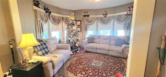 living room featuring hardwood / wood-style flooring