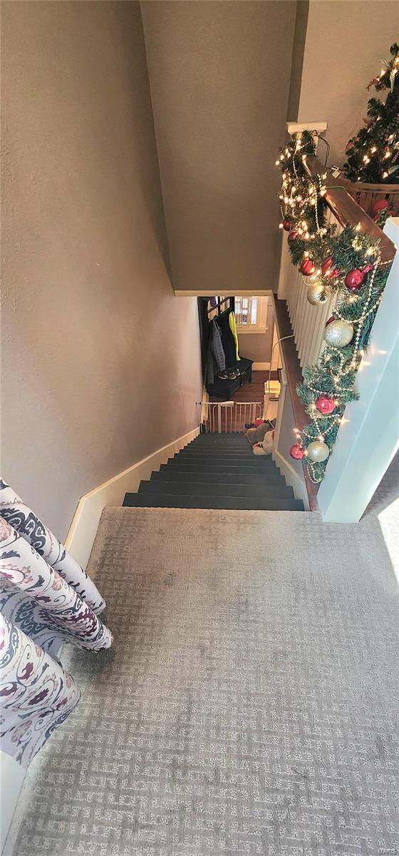 staircase with carpet floors