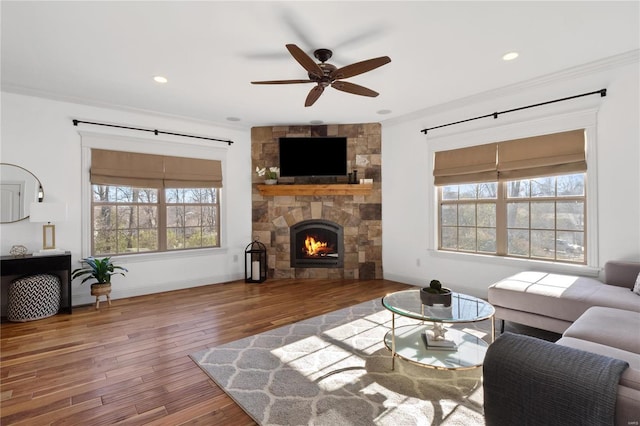 living room featuring a fireplace, hardwood / wood-style floors, and a healthy amount of sunlight