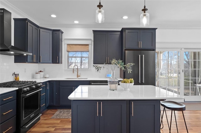 kitchen with a healthy amount of sunlight, sink, wall chimney exhaust hood, and stainless steel appliances