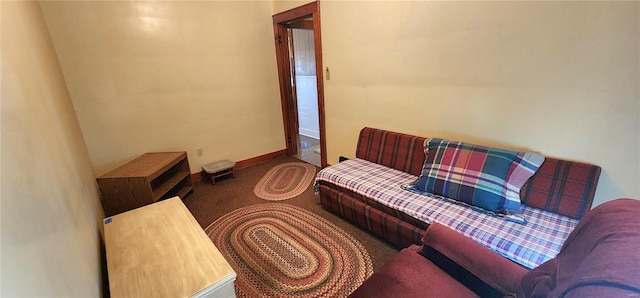 living area with carpet floors