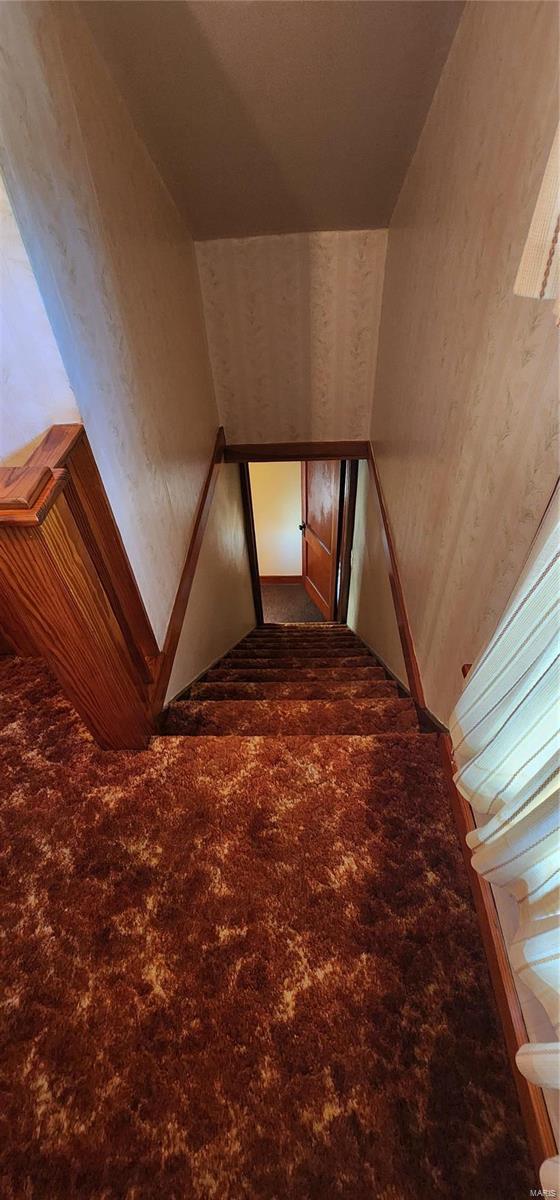 staircase featuring carpet