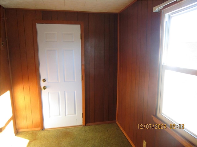 carpeted spare room with plenty of natural light and wood walls