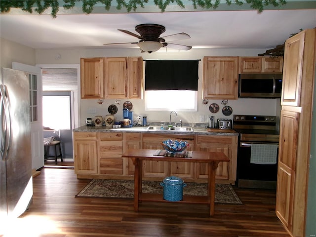 kitchen with dark hardwood / wood-style flooring, sink, stainless steel appliances, and plenty of natural light