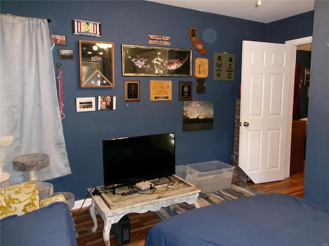 bedroom featuring wood-type flooring