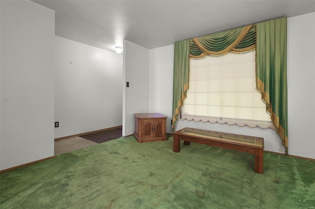 sitting room with carpet floors