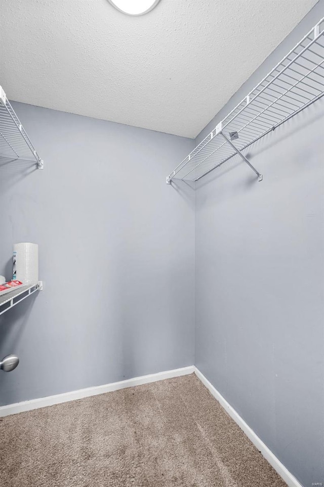 spacious closet featuring carpet flooring