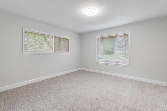 carpeted spare room with a wealth of natural light