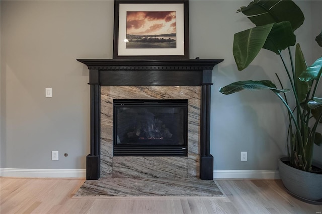 details with a premium fireplace and hardwood / wood-style flooring