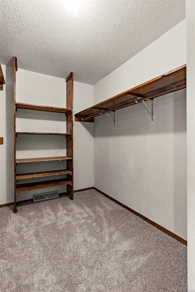 spacious closet with carpet flooring