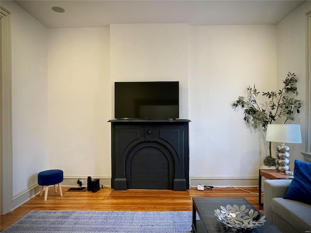 living room with hardwood / wood-style flooring