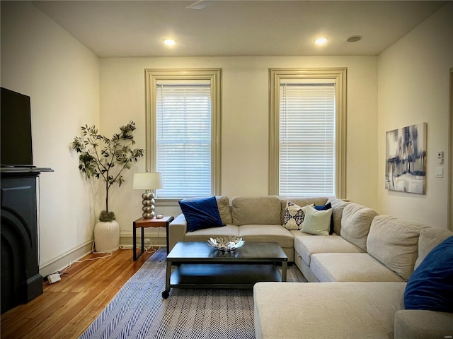 living room featuring wood-type flooring